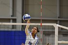 Volleyball vs MHC  Wheaton Women's Volleyball vs Mount Holyoke College. - Photo by Keith Nordstrom : Wheaton, Volleyball